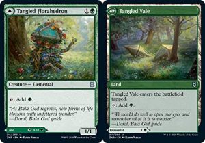 Tangled Florahedron // Tangled Vale