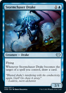 Stormchaser Drake in Simic Spells