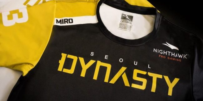 Overwatch League: Nightawk, brand di NETGEAR sarà lo sponsor dei Seoul Dynasty