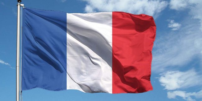 Francia: freno agli inglesismi del Gaming, ”Esport” e ”Streamer” non saranno più parole accettate