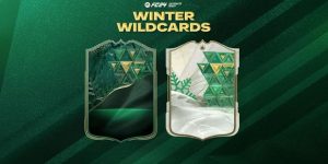 fc 24 winter wildcards